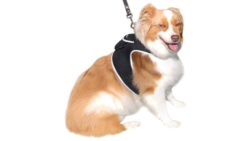 Track Pet Realtime Anywhere w/ Wireless GPS Tracking Dog Collar Finder Size:S