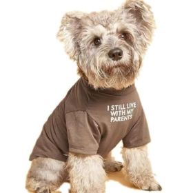 Pet Clothes Round Neck T-shirt (Option: Khaki-S)